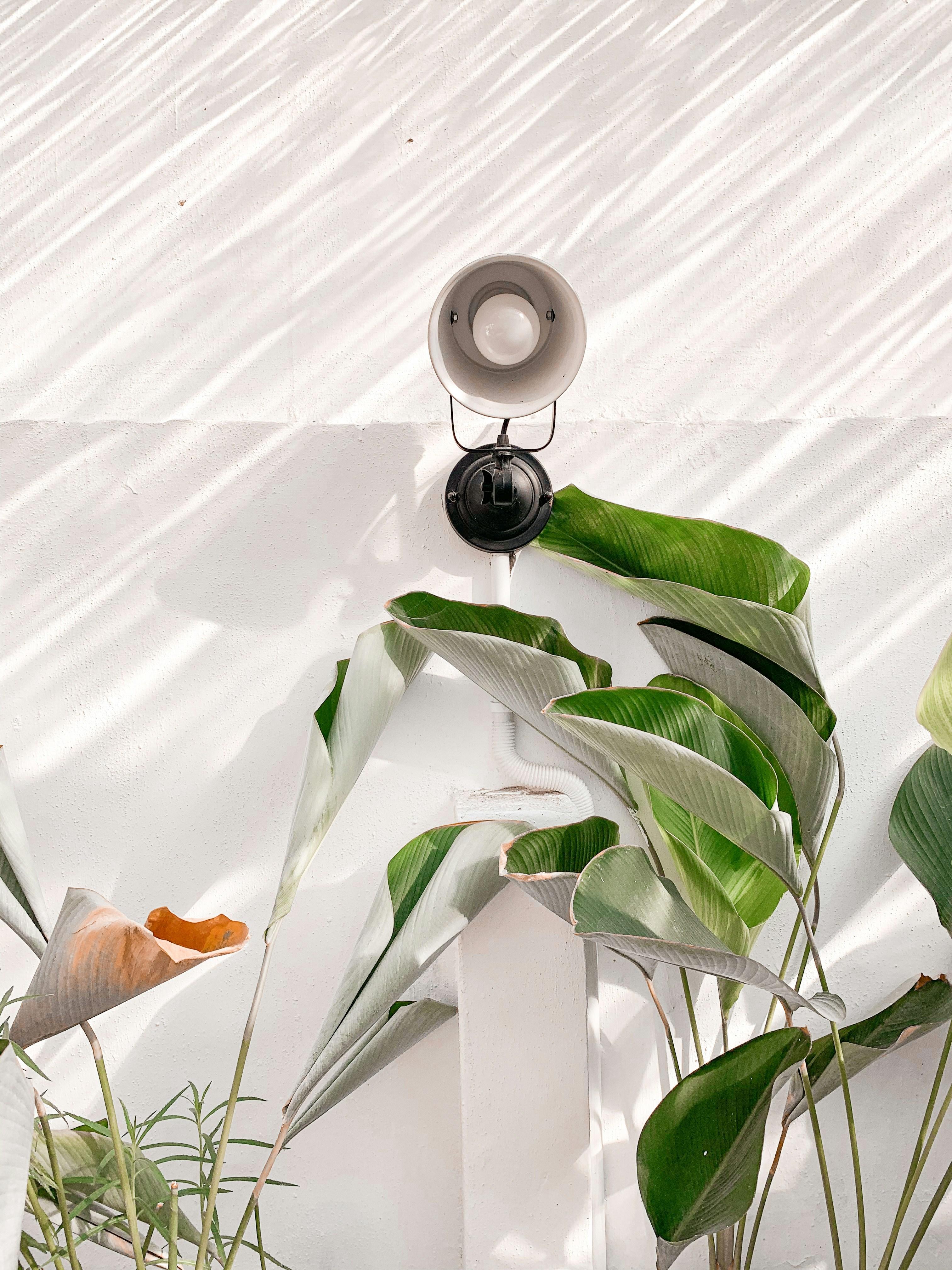 ソーラーパネルと風力発電のクリーンエネルギー